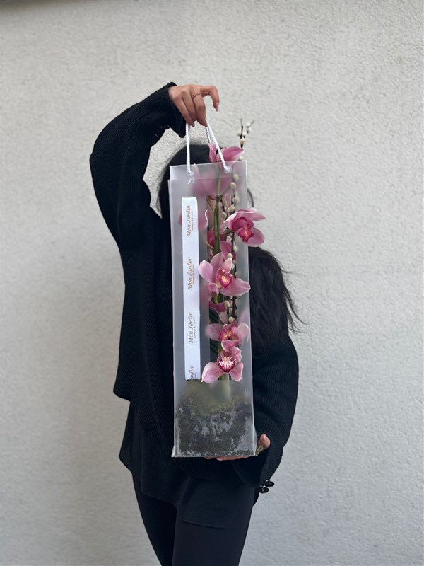 CYMBİDİUM BAG