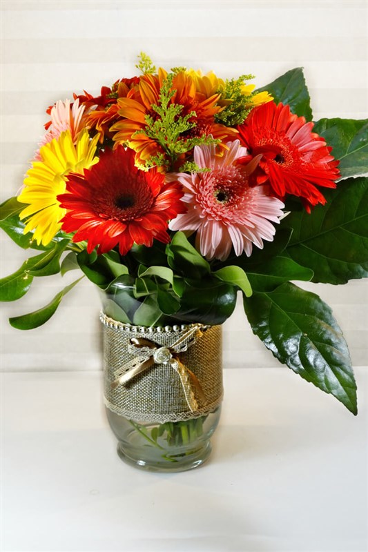 cam-vazoda-gerbera-arajmani