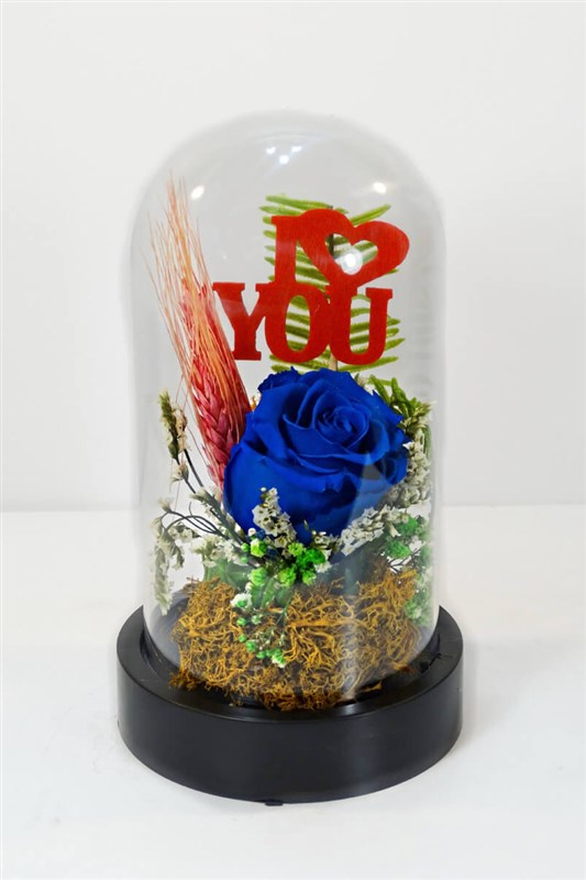 solmayan-gul---gece-mavisi