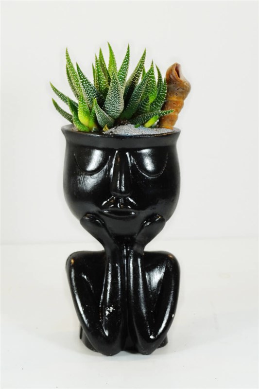 thinky-serisi-ve-canli-kaktus