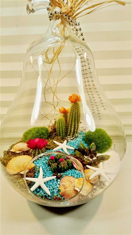 terrarium-sea