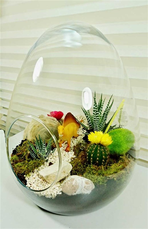 terrarium-jurasic-park