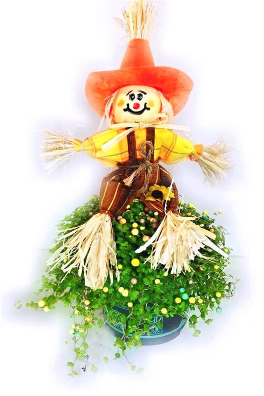 31-ekim-cadilar-bayrami-halloween-arapsaci