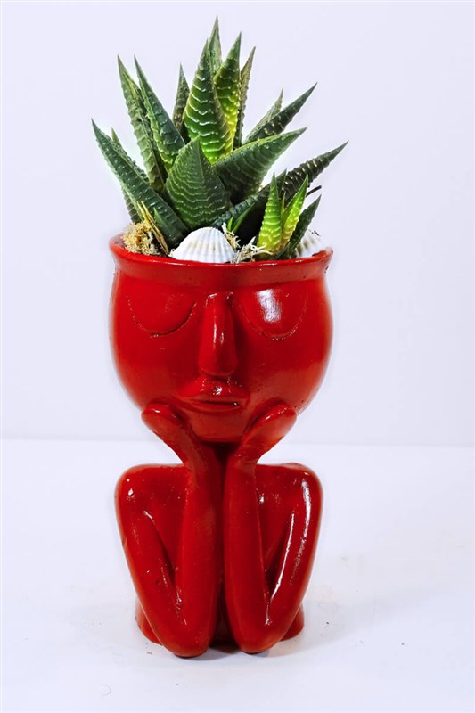 thinky-serisi-red-ve-canli-kaktus