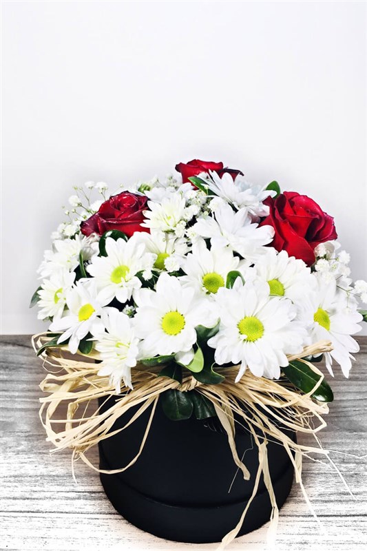 papatya--gul-arajmani-en