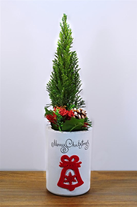 merry-christmas---cam-fidani-canli-25-cm