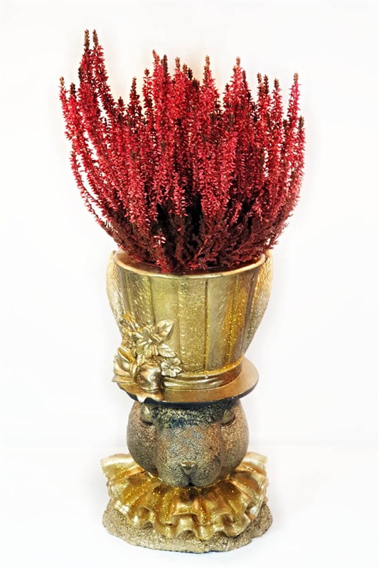 altin-tavsan-ve-calluna-bitkisi