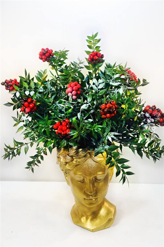 helen-ve-kokina-arajmani