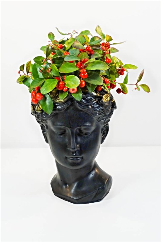 misir-kralicesi-neferiti-ve-kokina-arajmani