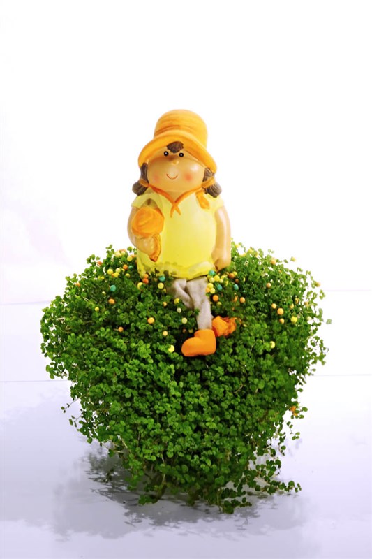 heidi-bebekli-arap-saci-en