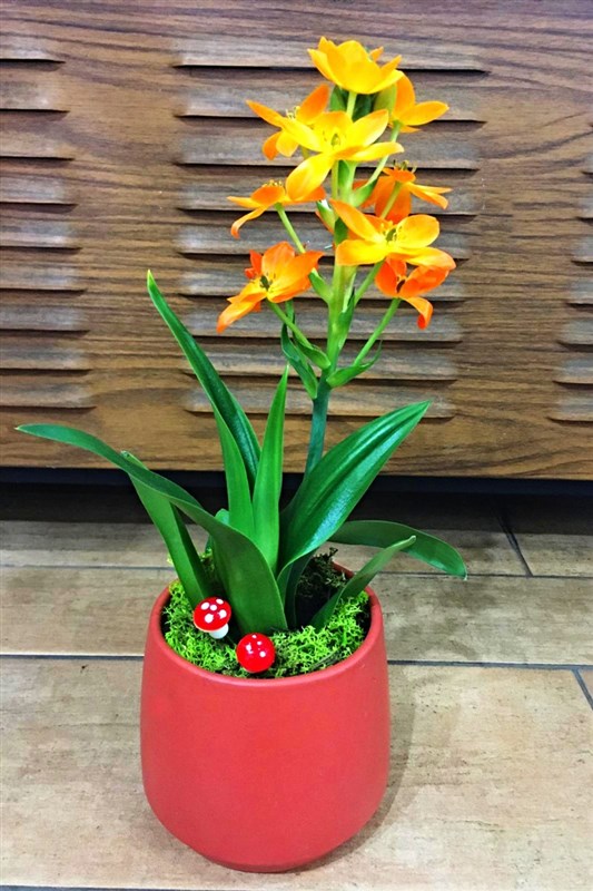 african-breeze-afrika-meltemi