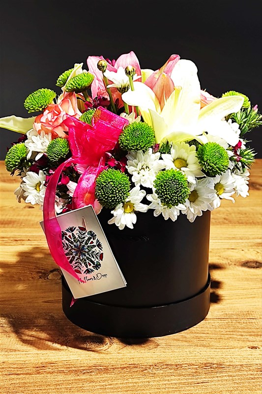 mevsim-arajmani-agustos-2021-en