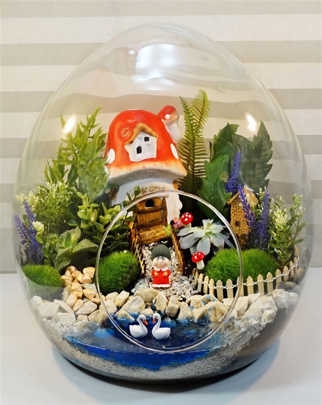 masal-diyari-terrarium-maxi-boy