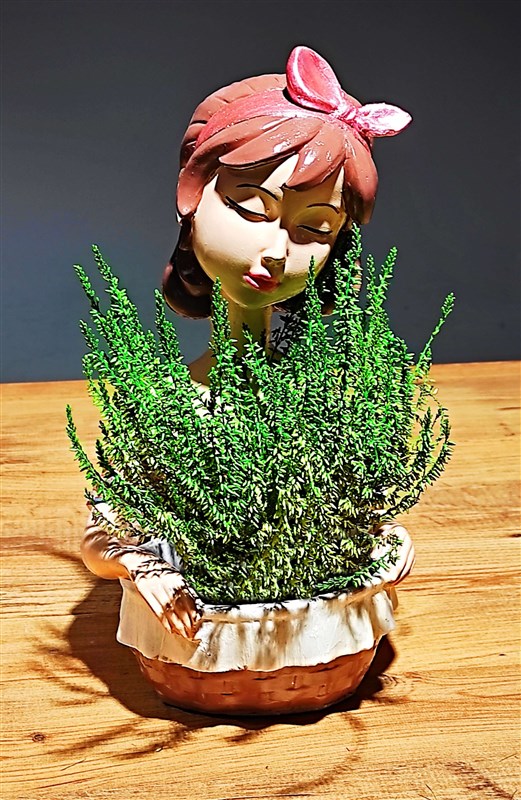 biblo-saksili-kiz-35-cm-ve-calluna-saksi-cicegi