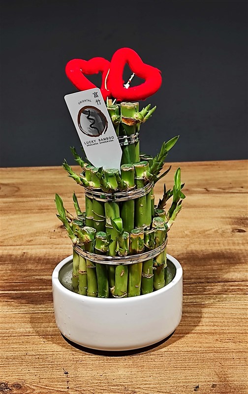 japon-lucky-piramit-bambu