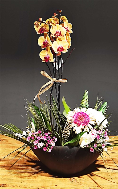 cam-saksida-kavunici-saksili-orkide-arajmani-en