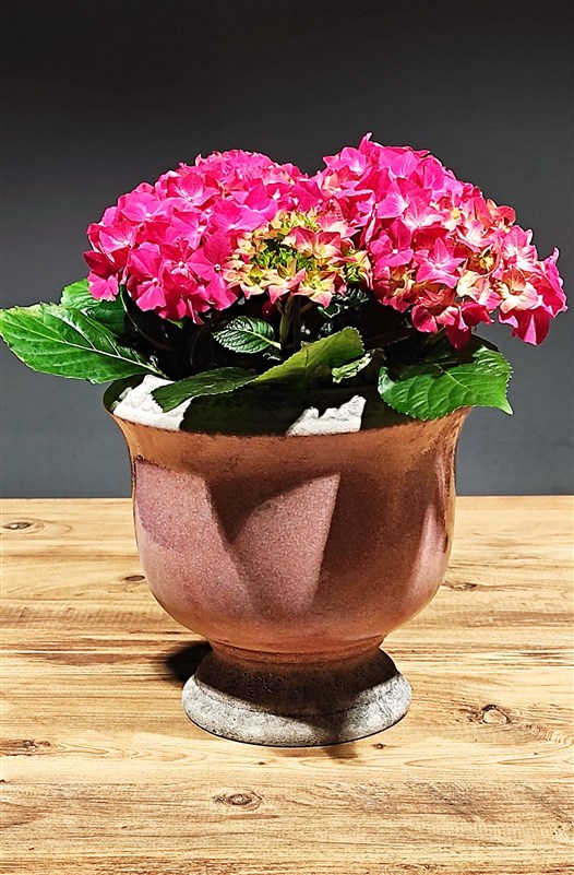 ortans-dekoratif-buyuk-boy-eskitme-seramik-saksi-icerisinde