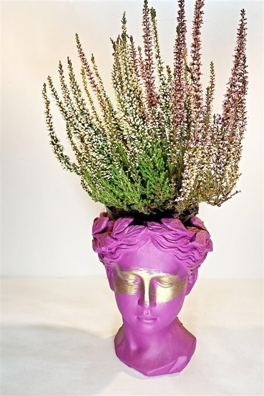 maskeli-helen-dokum-saksida-calluna-cicegi