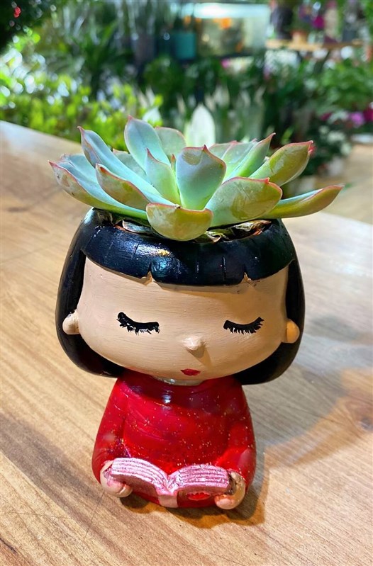 hersey-icin-tesekkurler-ogretmenim-canli-sukulent