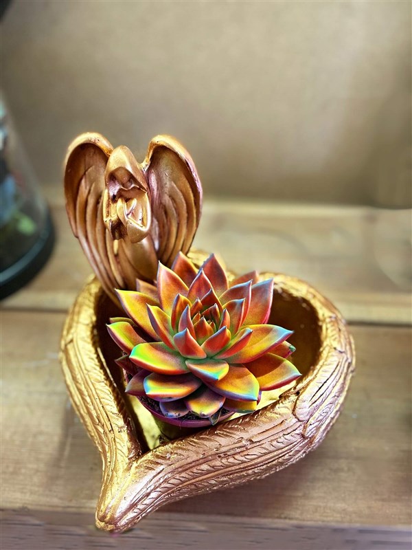 dokum-kalp-ve-melek-motifli-saksi-icinde-sukulent