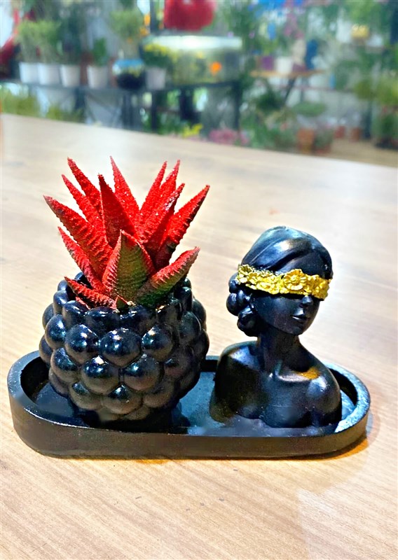 helen-ve-canli-kirmizi-sukulent