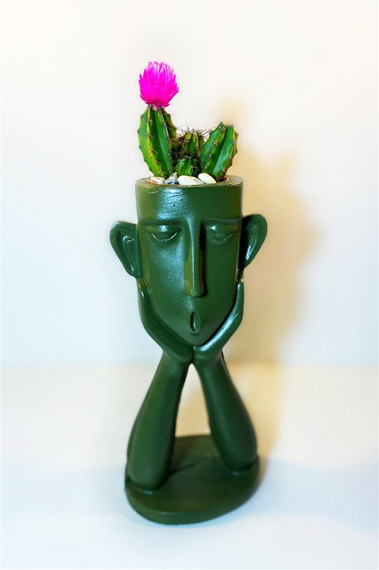 dusunceli-rainbow-canli-kaktus