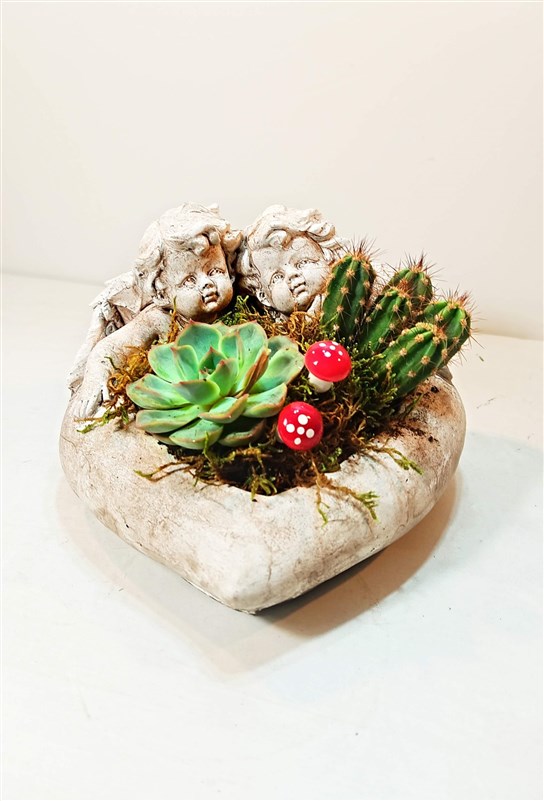 ikiz-melekler-dokum-saksi-icerisinde-canli-kaktus-ve-sukulent