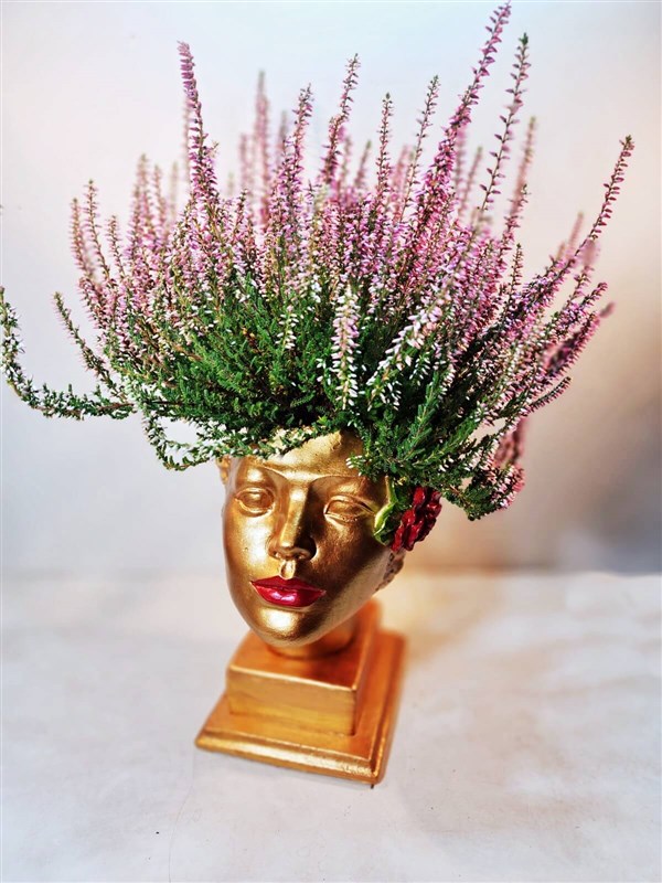 leda-dokum-saksida-calluna-cicegi-en