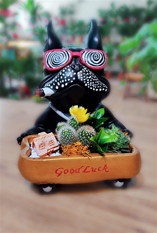 funny-boss-buyuk-boy