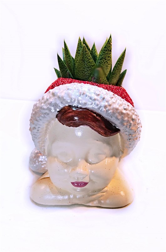 noel-cocuk-ve-canli-kaktus