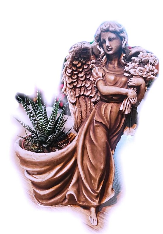 yeryuzundeki-meleksin-en