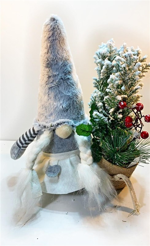 noel-dede--canli-cam-agaci