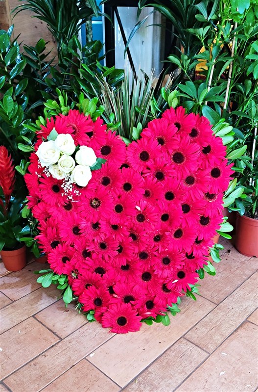 love-100-adet-canli-gerbera-7-canli-beyaz-gul-100-x-80-cm