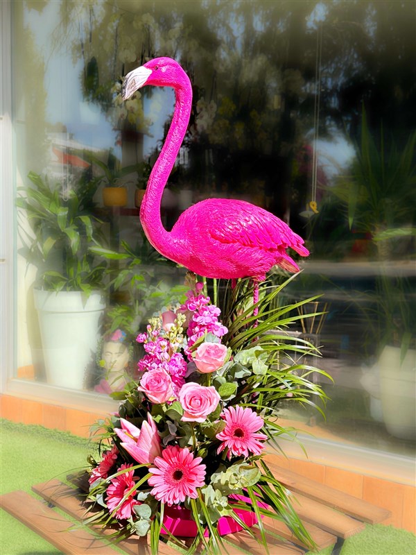 pelikan-90-cm-dokum--arajman-canli