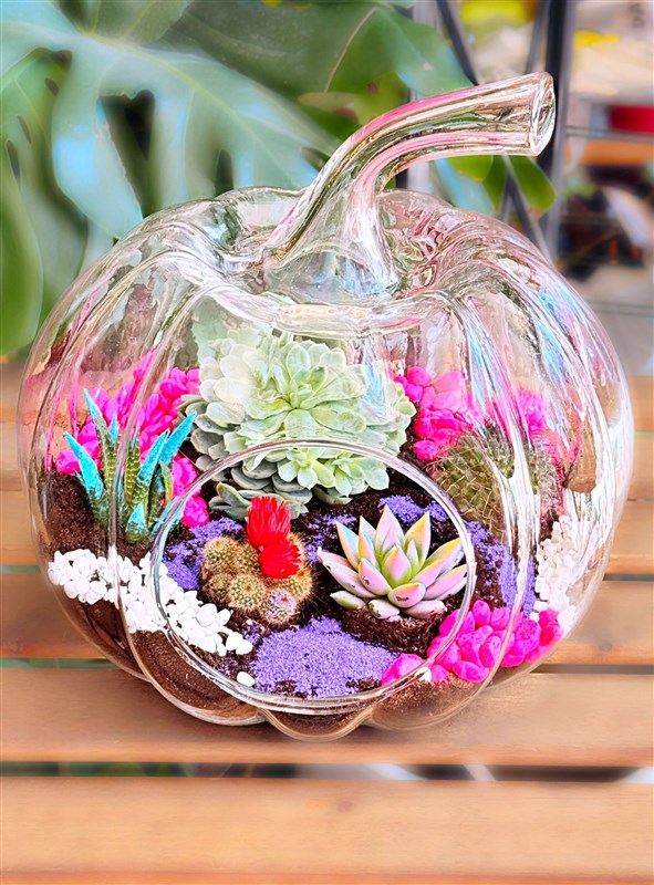 cam-kabak-teranyum-extra-buyuk-boy-en