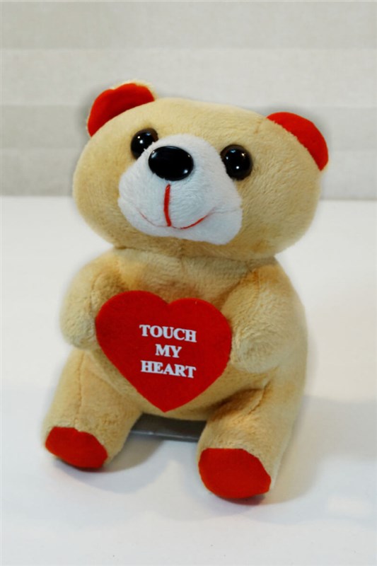 sesli-ayicik-videosu-facebook-sayfamizda