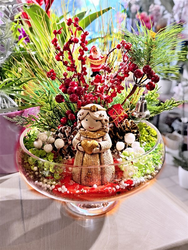 sans-peri-kizi-cam-teranyum--buyuk-boy