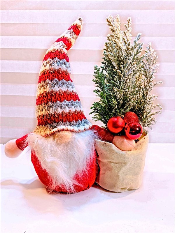 noel-baba-ve-mini-cam-agaci