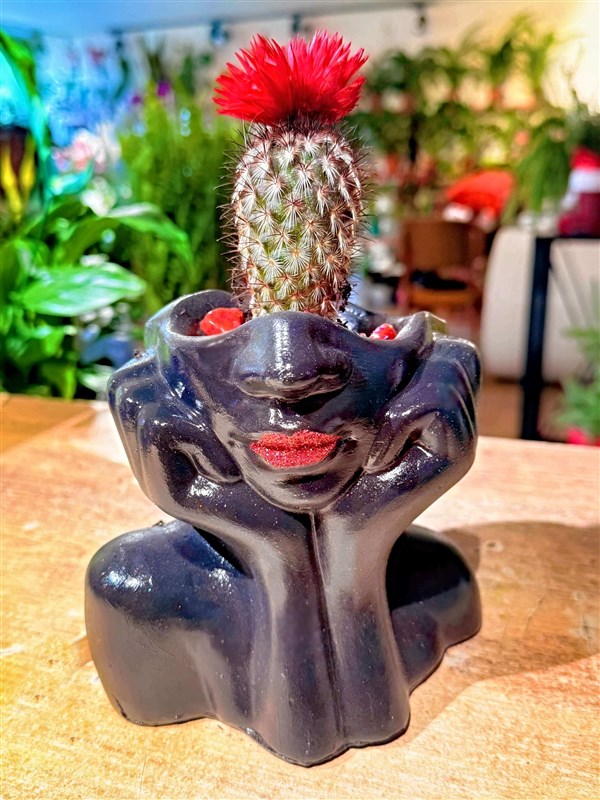 thinky-woman-april-2026