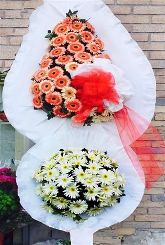 Açılış & Tören 2