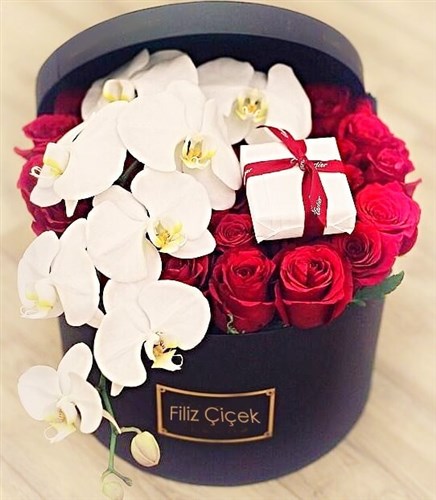 Balayı Odası Konsepti