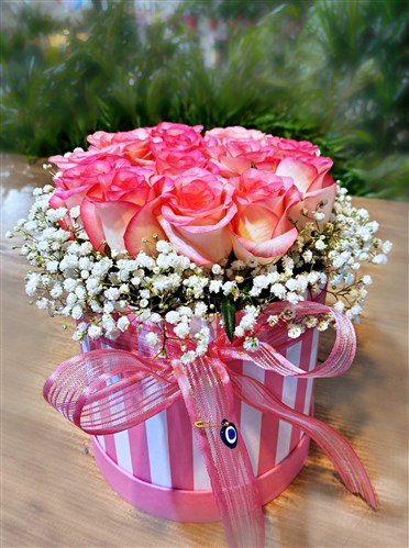 Barbie Arajman (13 canlı Pembe Gül)