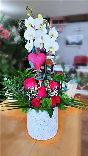 Beyaz Orkide Arajmanı, Canlı Güller ve Kalp Aksesuar