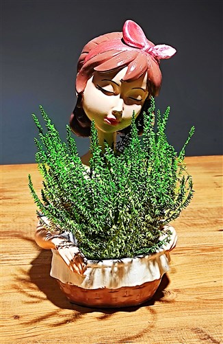 Biblo saksılı Kız 35 cm ve Calluna saksı Çiçeği