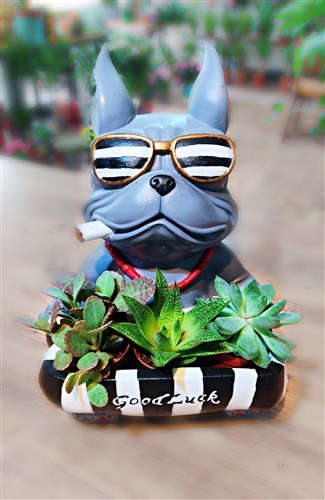 Big Boss (Büyük Boy)