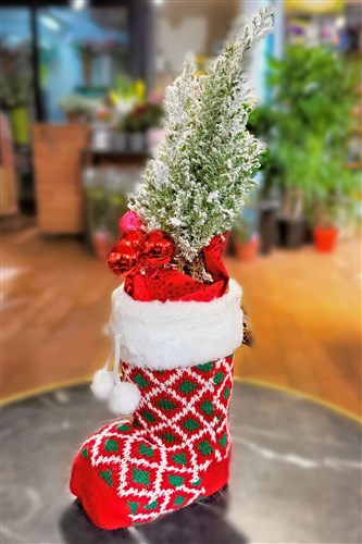 Çam Ağacı Snowy (saksılı ve özel dekoratif çorap kılıflı)
