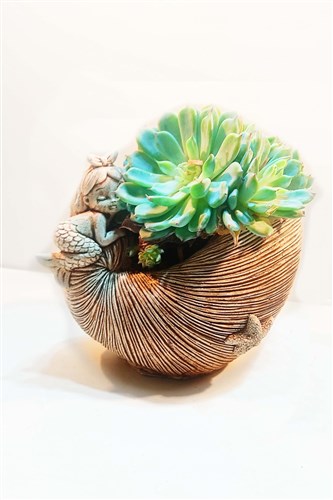 Deniz Kızı & Girne           (Orta Boy)