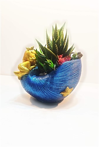 Deniz Kızı & Karpaz     (Orta Boy)