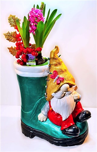 Döküm Noel Baba Çizme Saksı İçinde Canlı Sümbül (55 cm.)