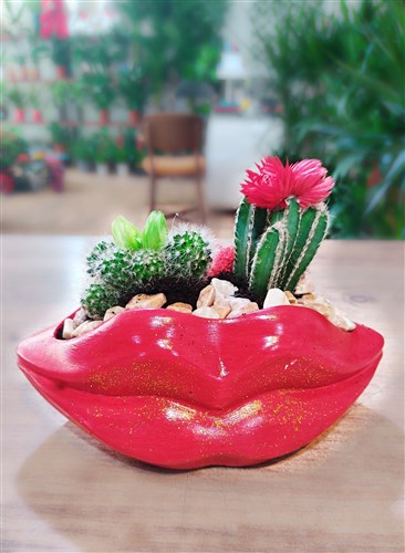 Dudaktan Kalbe Kaktüs Arajmanı 2 (Büyük Boy)